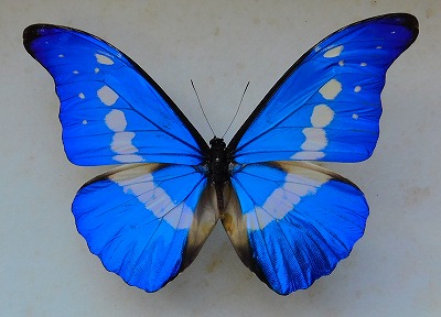 s-DSCN1520_edited.jpg