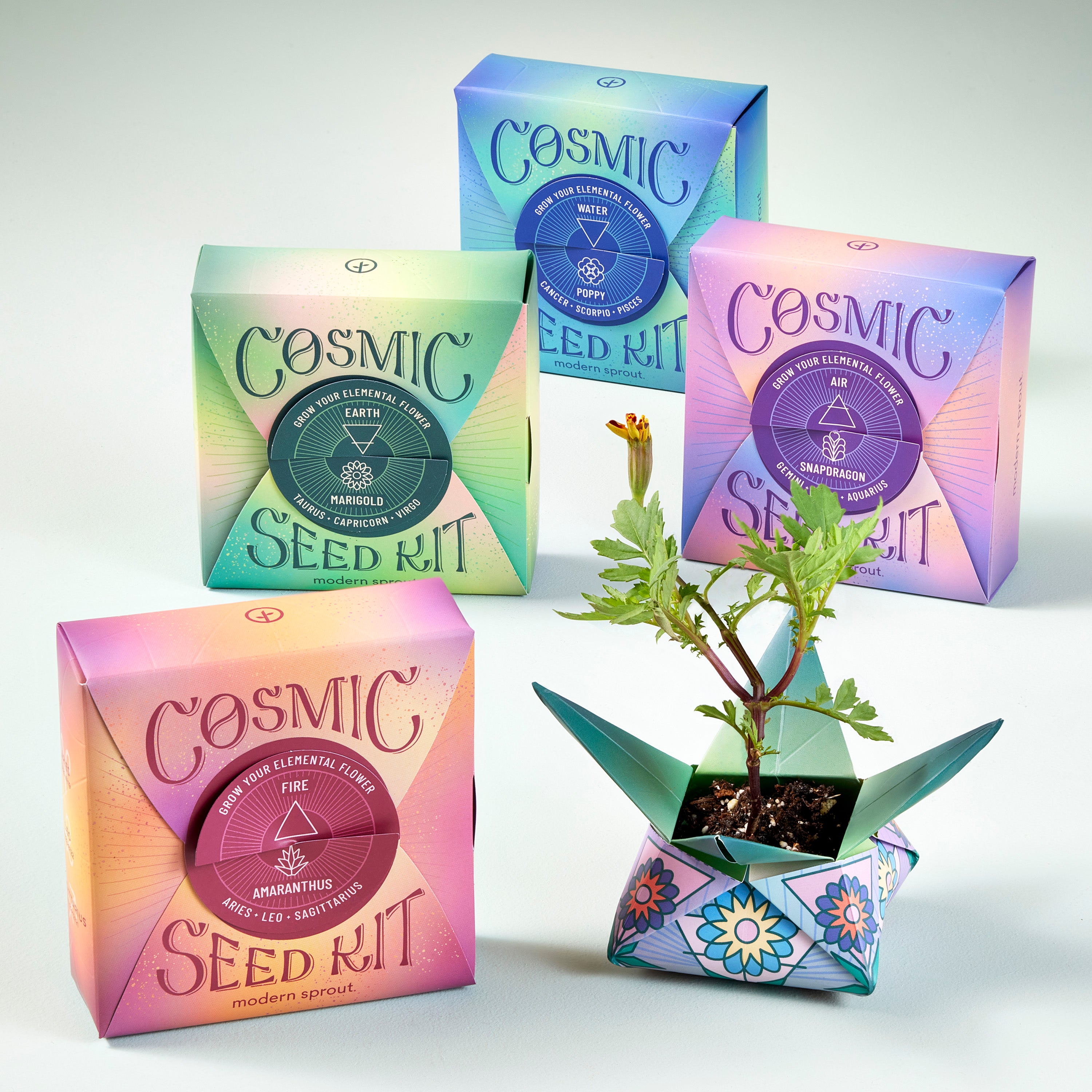 Cosmic Seed Kits - Zodiac Inspired Flower Growing Kits | Origami