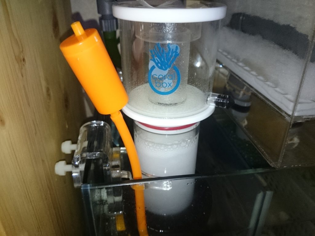CoralBox S150設置からスキマー能力安定迄の記録まとめ ｜ 30cm水槽の