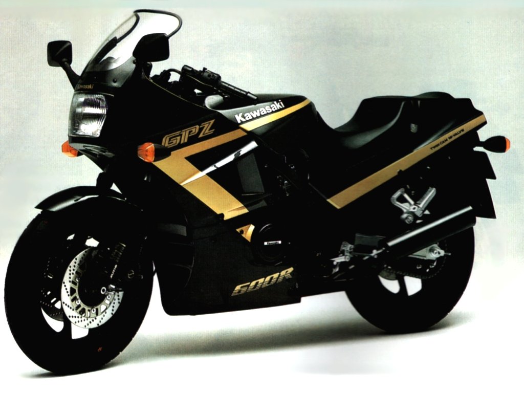 無縁単車墓地群 その7 GPZ250R