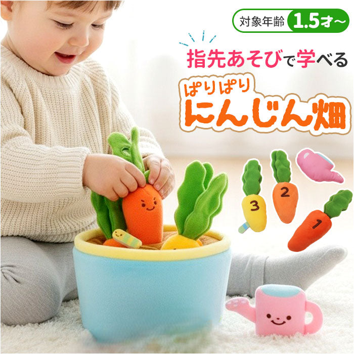 minicarrot_1200x1200.jpg?v=