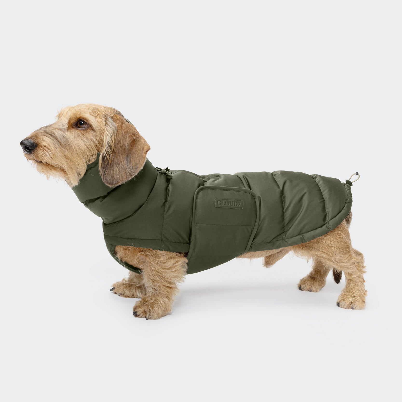 DogCoat Alaska ドッグコート Cloud7 クラウド7 犬 ダウン Dog Coat