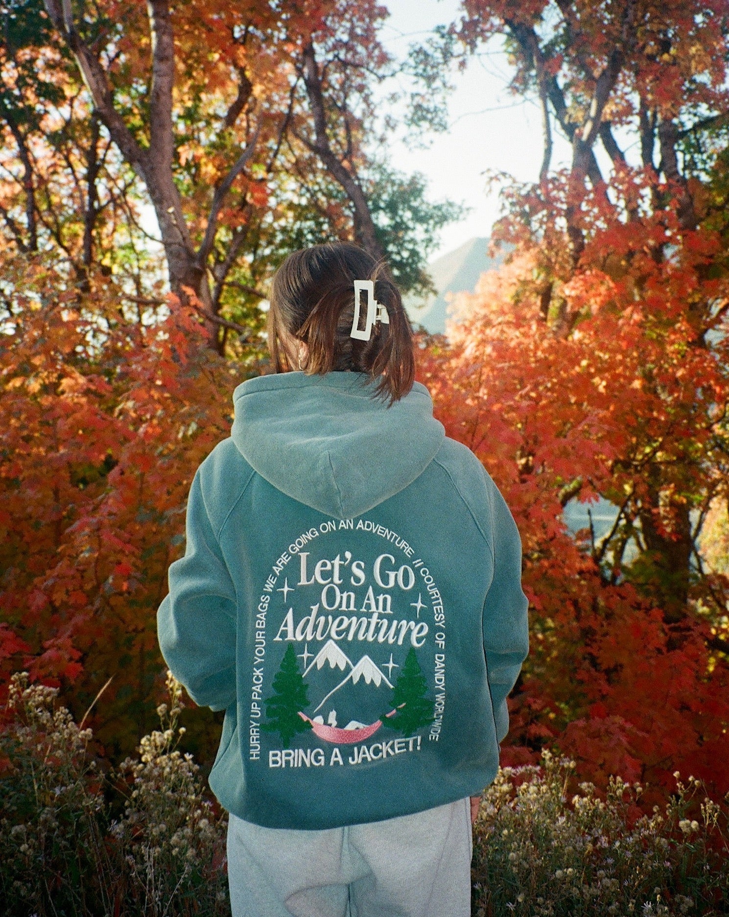 Let's Go On An Adventure