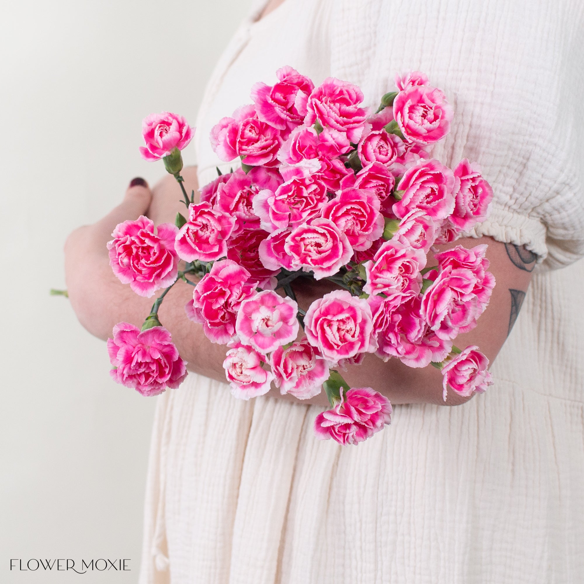 Pink Bicolor Mini Carnations | DIY Wedding Flowers | Flower Moxie