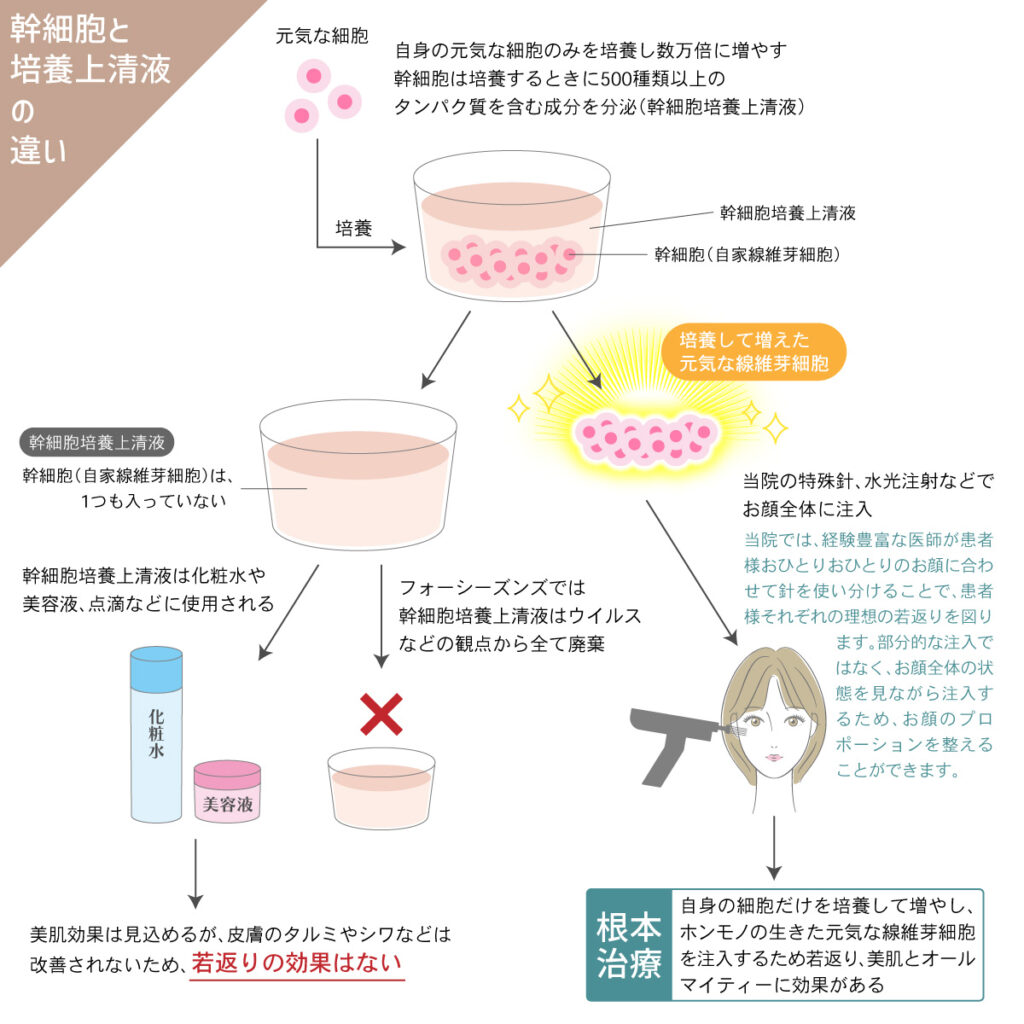 神戸・大阪】幹細胞(線維芽細胞)治療は肌再生医療専門でオススメの
