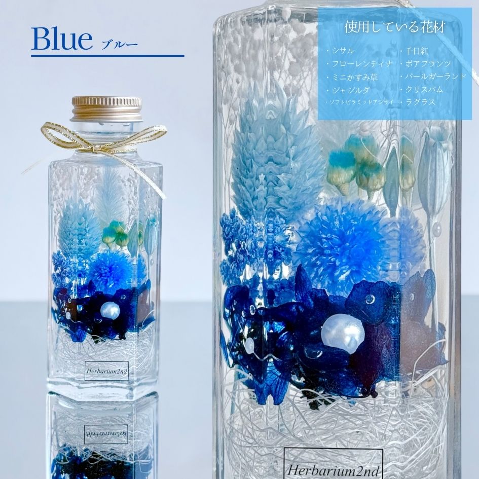hb00f100blu_01.jpg
