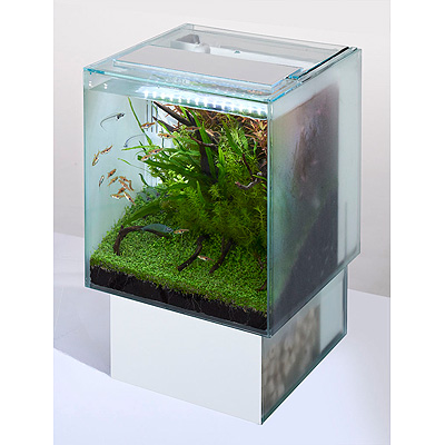 Glassteria AGS white / ジェックス株式会社 | GOOD AQUARIUM Design Award