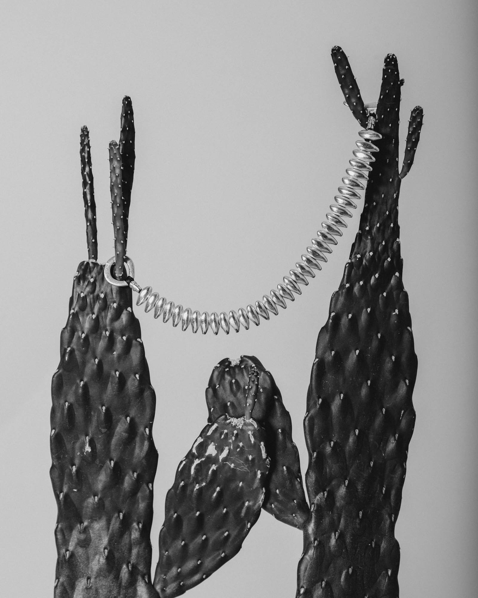 JILL PLATNER” -ORDER INFOMATION & PHOTO GALLERY 2024- | MAIDENS