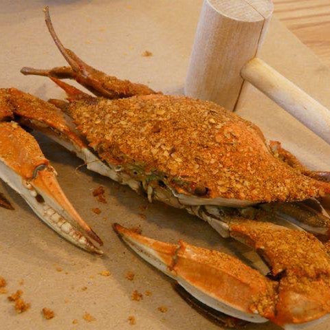 Maryland's Best Steamed Crabs – Vince's Crab House