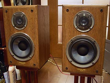 DIATONE DS-300