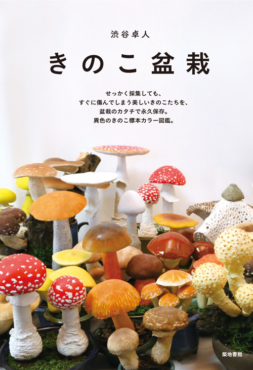 きのこ盆栽