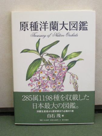 P1010006.JPG