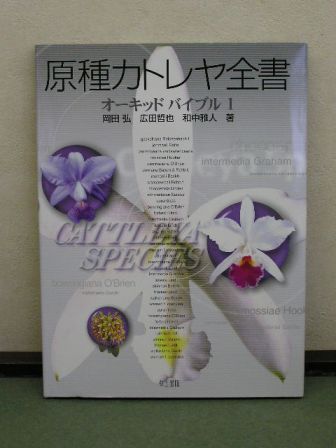 P1010003.JPG