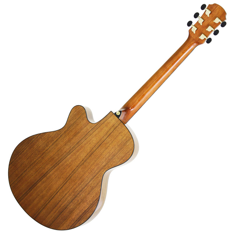 Aria TG-1N アコースティックギター 弦交換済み ソフトケース付き