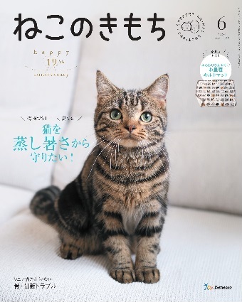 ねこのきもち 2024年6月号｜株式会社シーオーツー