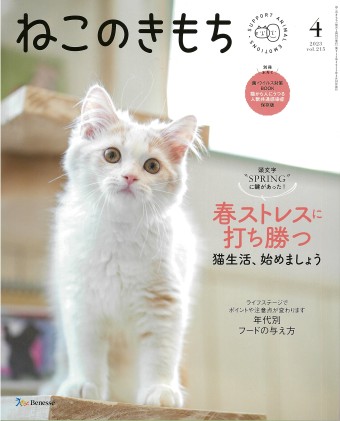 ねこのきもち 2023年4月号｜株式会社シーオーツー