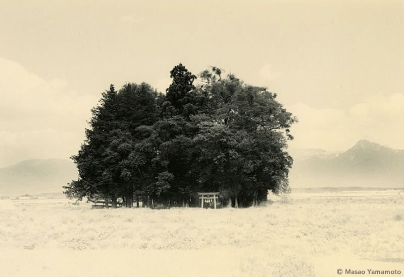 終了】山本昌男 写真展「小さきもの、沈黙の中で – Small Things In