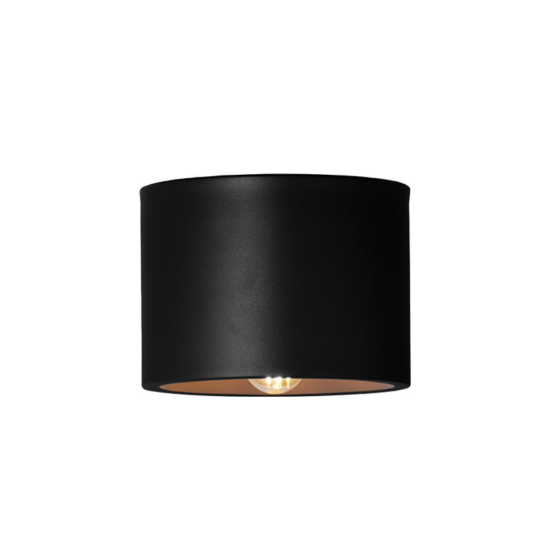 ART WORK STUDIO（アートワークスタジオ）Eve-ceiling light（イブ