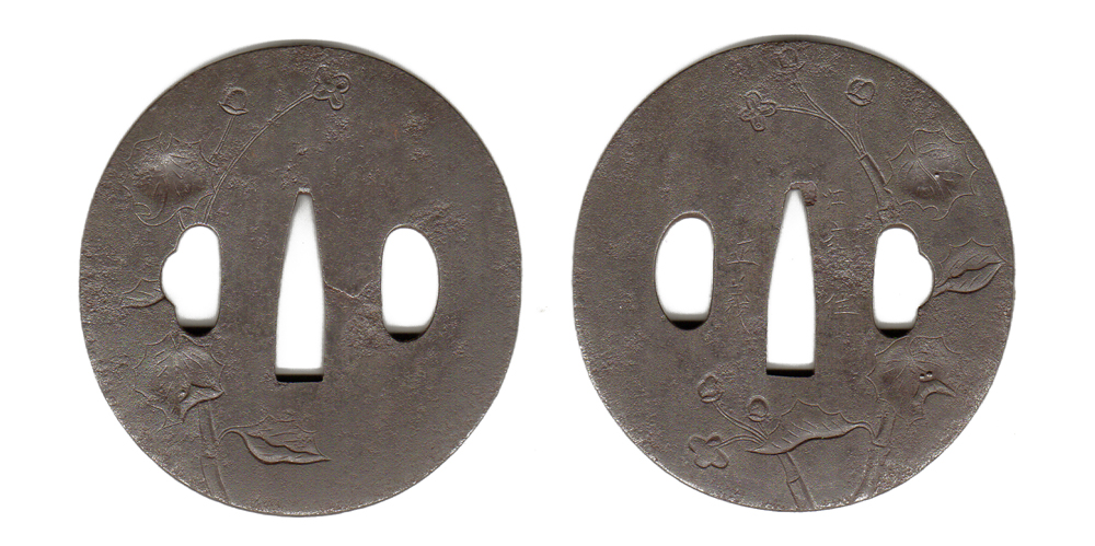 ant-068.jpg