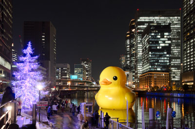 duck2021-400.jpg