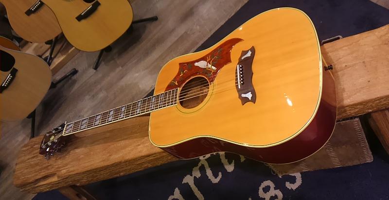 おっ！イイね? GrecoのDOVEモデル | イシバシ楽器スタッフブログ