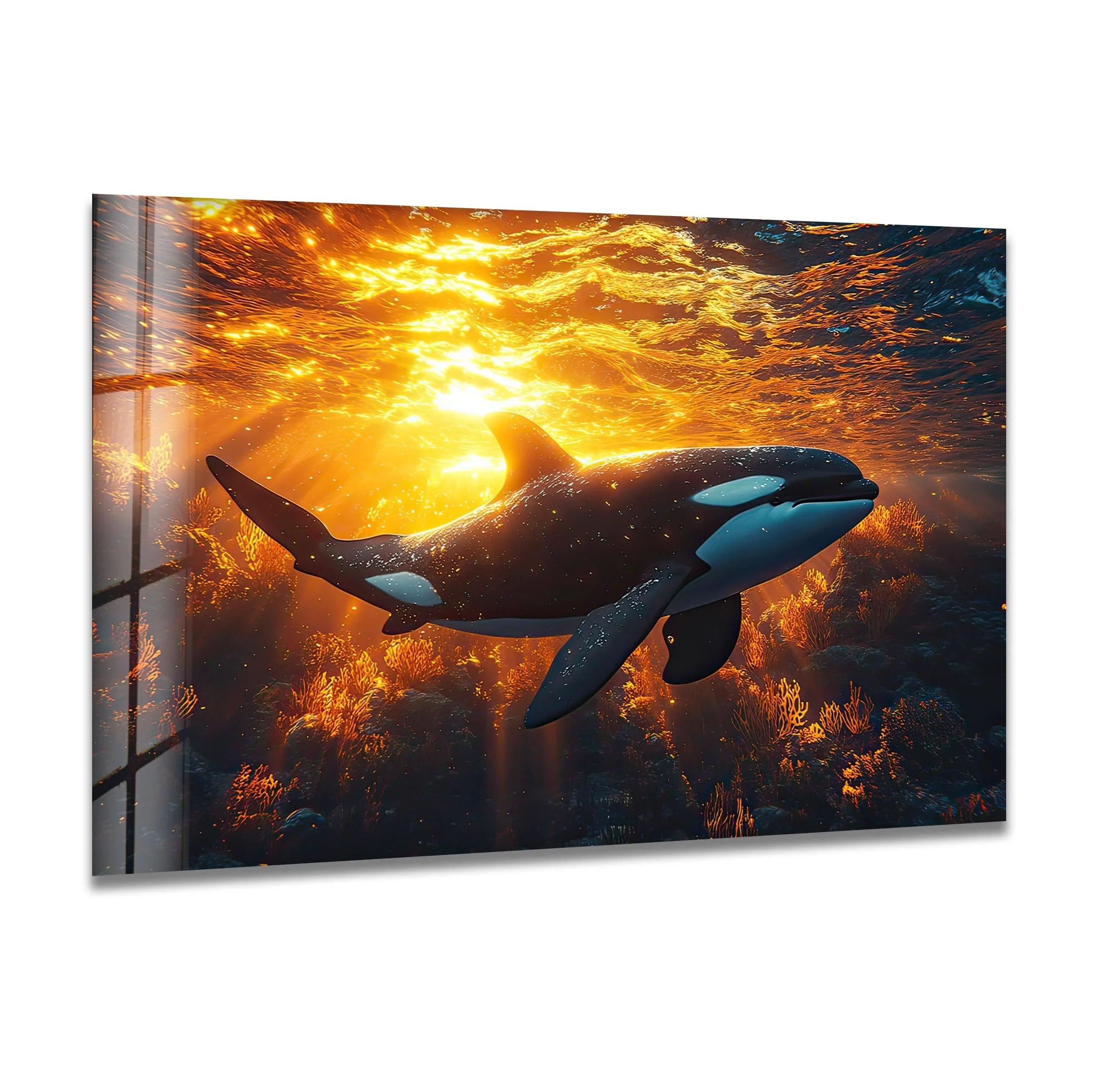 orca-1karecopy.jpg?v=1753656772