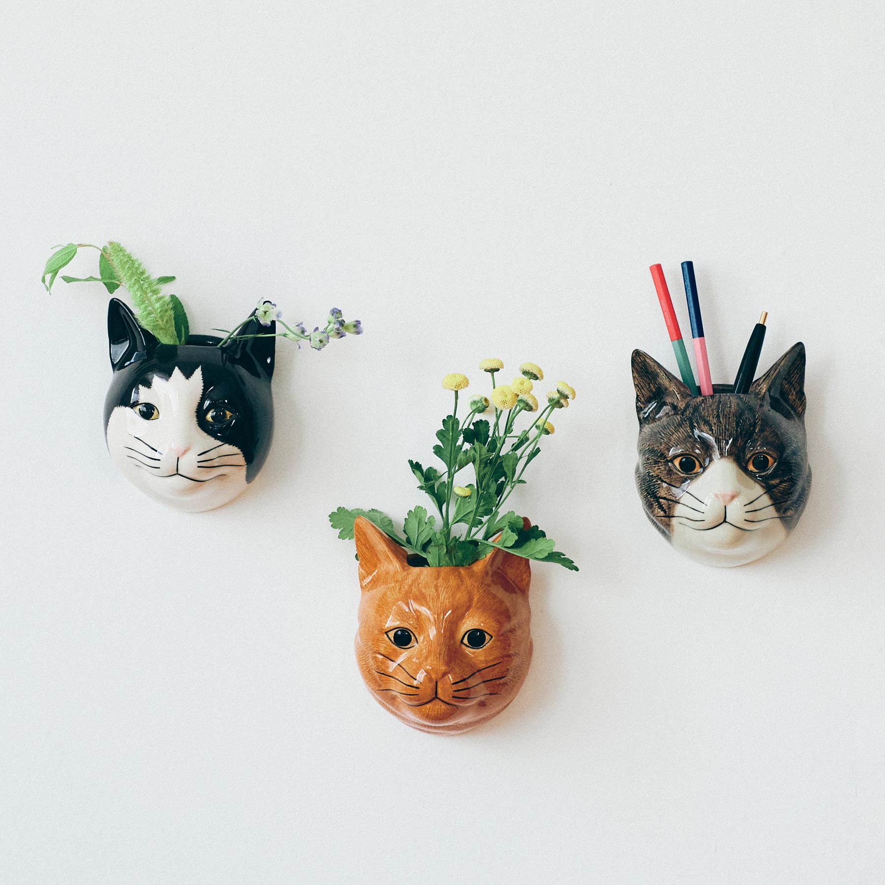 Quail Ceramics キャット・ウォールベース｜フラワーベース｜オルネ ド