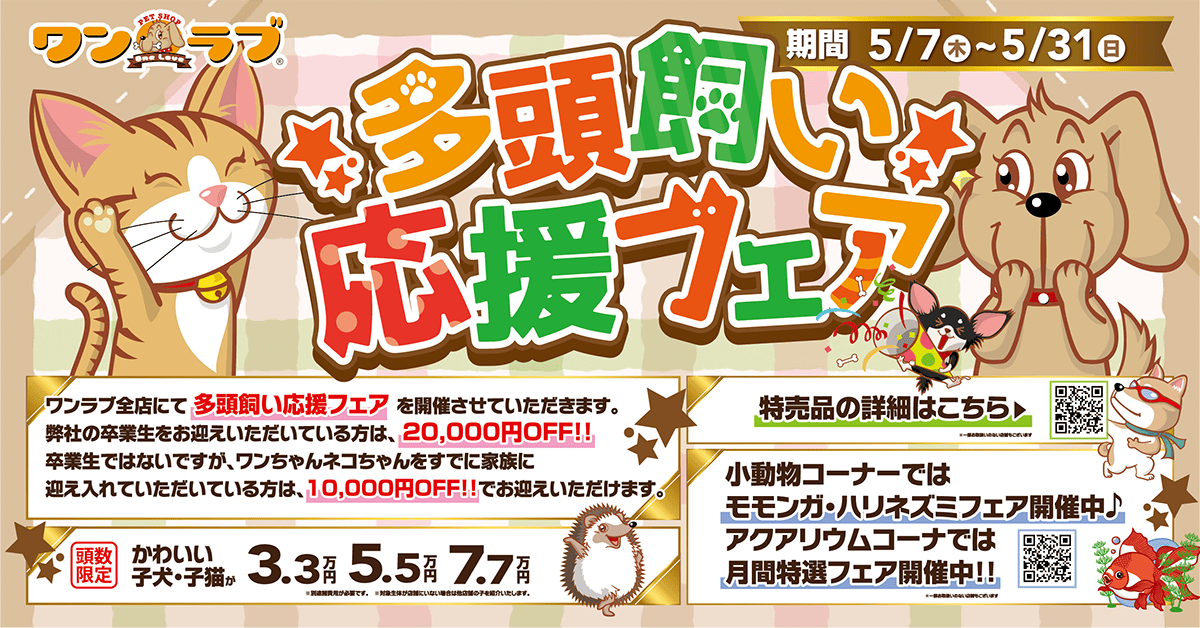 ニャンラブ ららテラス北綾瀬店 ペットショップ ワンラブ