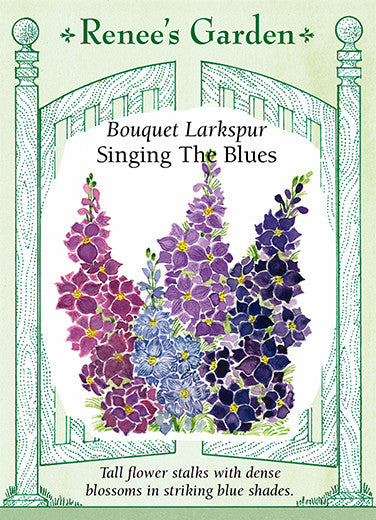 Singing the Blues' Bouquet Larkspur – Renee's Garden