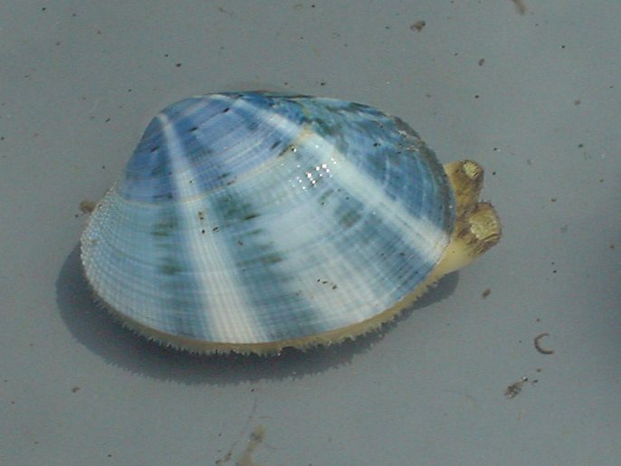 DSC00116.JPG