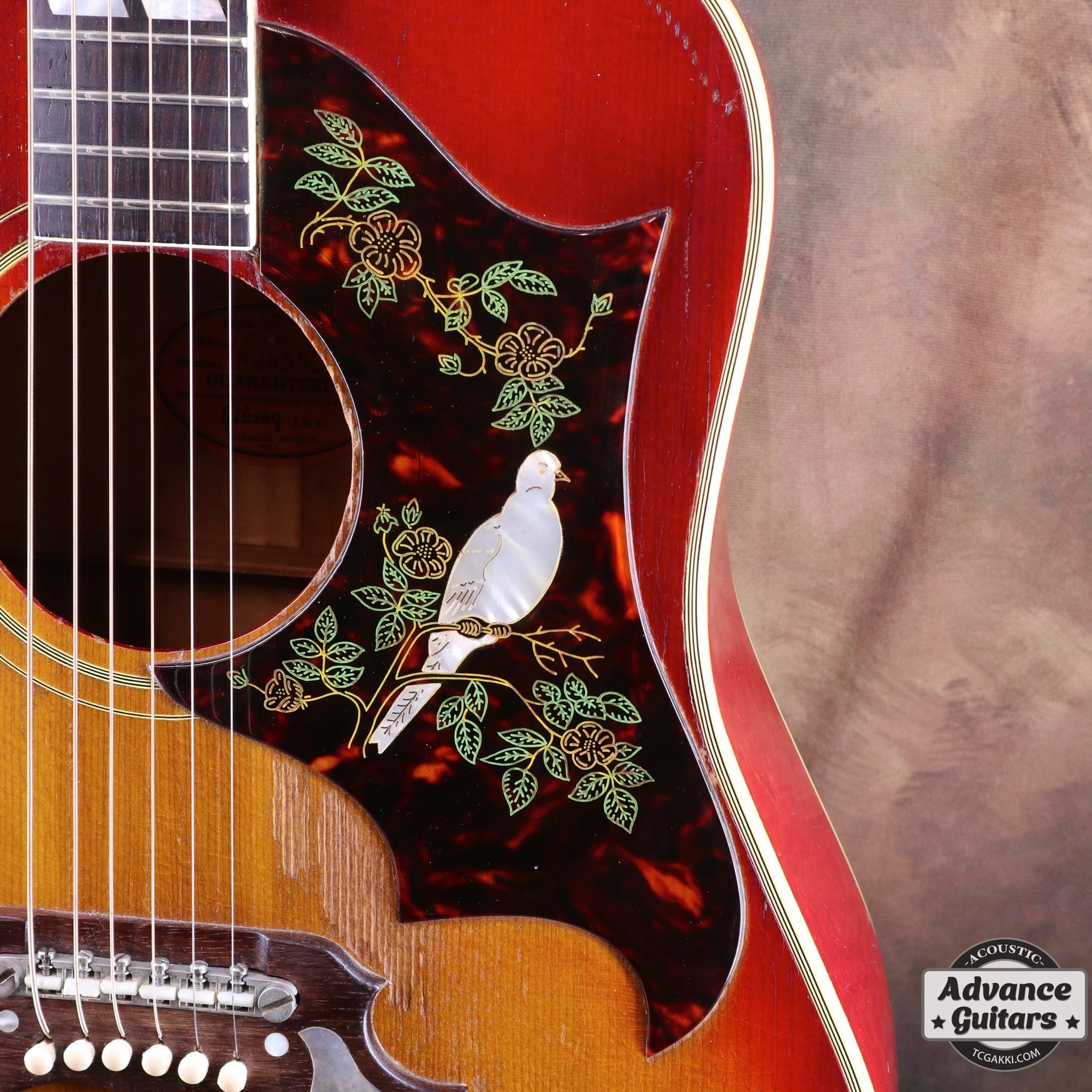 1962年製 Dove