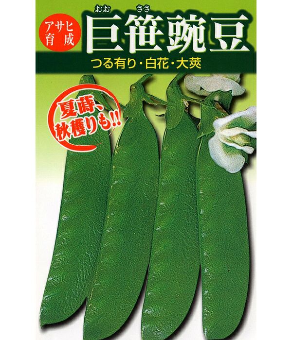 アサヒ育成 巨笹エンドウ豆（サヤエンドウの種）|固定種 在来種に強い