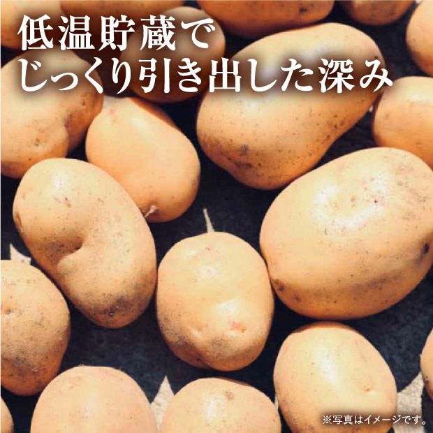 剣淵産 じゃがいも10種 食べ比べセット｜北海道 上川 ｜食べレア北海道