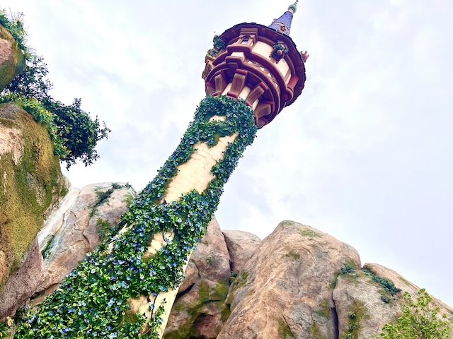 東京ディズニーシー「ラプンツェルの森」のフォトスポットは
