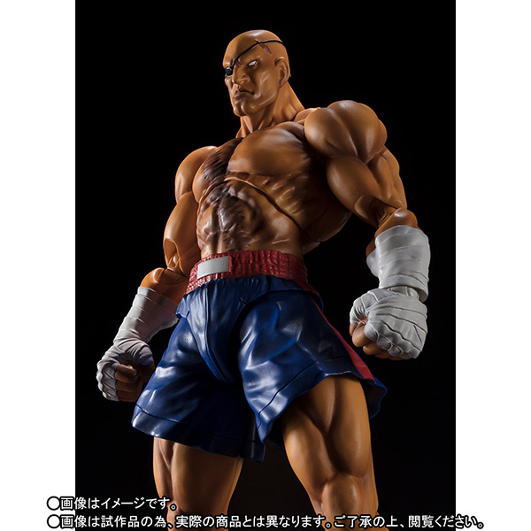 ストV】S.H.フィギュアーツ『サガット』ストリートファイターV 可動