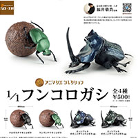1/1 フンコロガシ 【SO-TA】