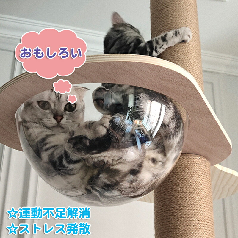 楽天市場】木登りタワー キャット宇宙船 拡張パーツ 大人気「木登り