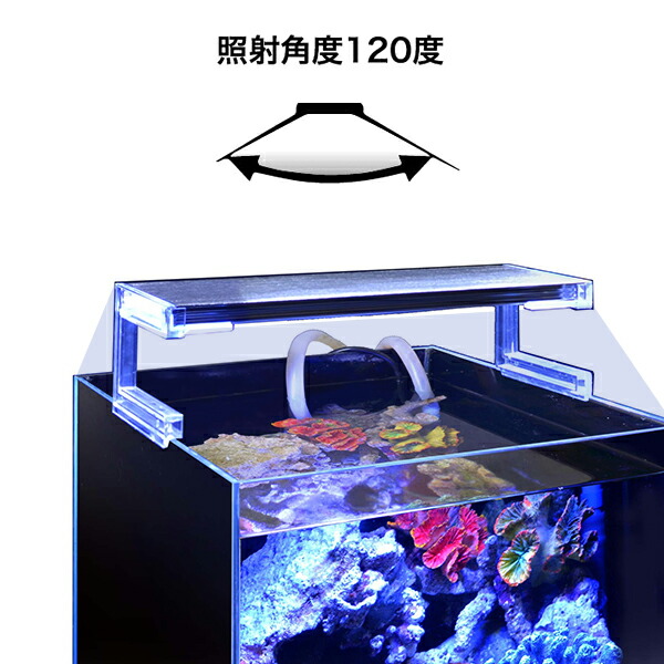 楽天市場】ゼンスイ 超薄型 LEDランプ 45cm水槽用 ブルーホワイト nano