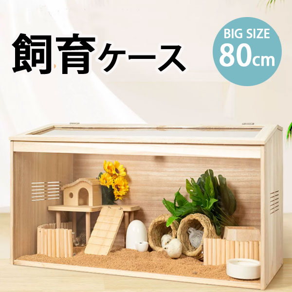 楽天市場】飼育ケース80cm 飼育ケース 飼育ケージ 大型ケージ ケージ