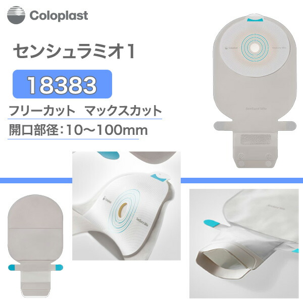 楽天市場】スピーディカテ ナビ 40 男性用 29010 10Fr 39cm 1箱30本