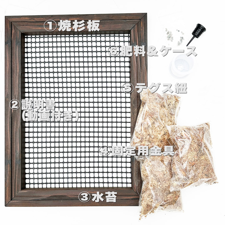どん様 リクエスト 7点 まとめ商品 着生材 着生板 ビカクシダ どん様