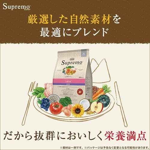 楽天市場】ニュートロ シュプレモ 子犬用 小粒 1kg ドッグフード(1kg