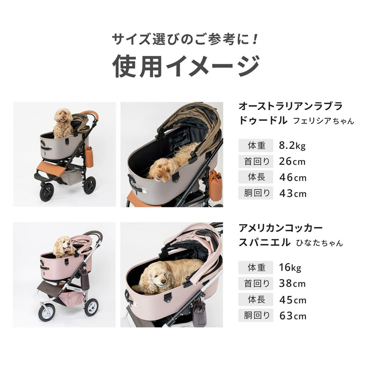 楽天市場】【店内ポイント最大40倍！本日限定！】エアバギー ドーム3