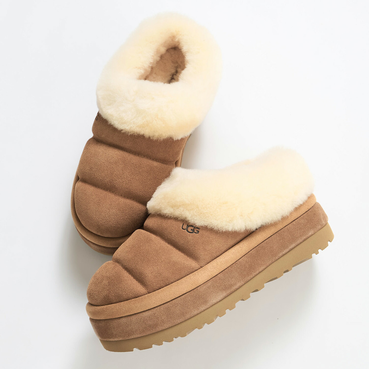楽天市場】UGG TAZZLITA アグ ムートンブーツ タスマン レディース