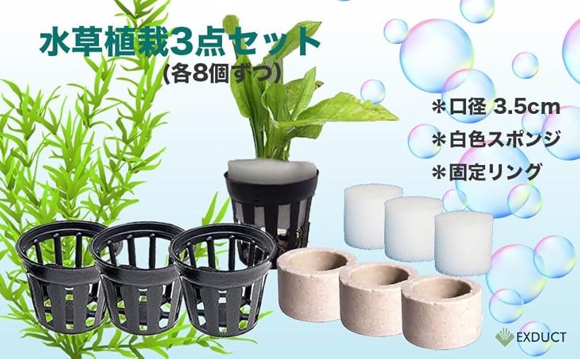 楽天市場】水槽用 水草 水草植栽3点セット 各8個セット 固定リング 植
