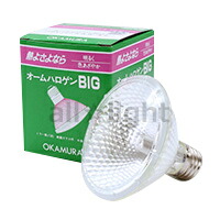 岡村電産 オームハロゲンBIG JDR110V150W-WWK9 DF (電球・蛍光灯) 価格