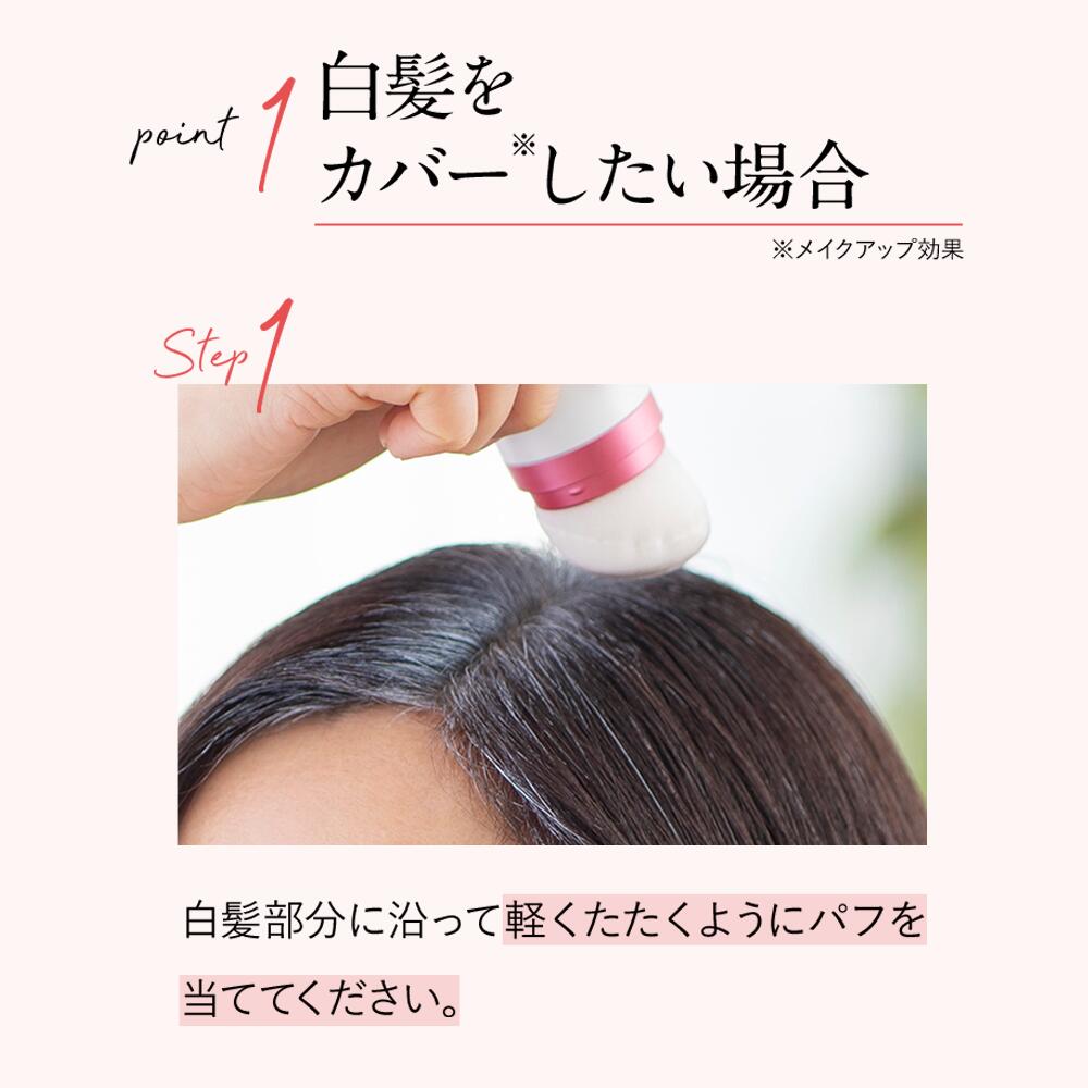 楽天市場】公式 アートネイチャー アートミクロン プラビ パウダー