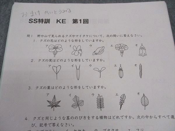wk04img_0979_r.jpg