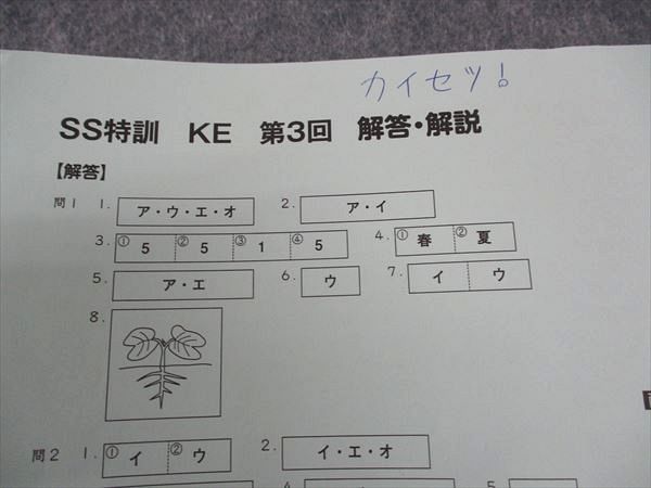 wk04img_0980_r.jpg