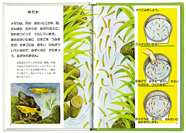 yl001_03.jpg